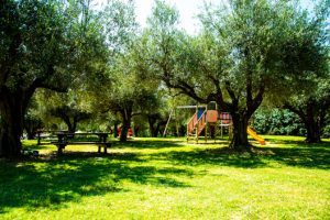 campus-estivo-per-bambini-perugia